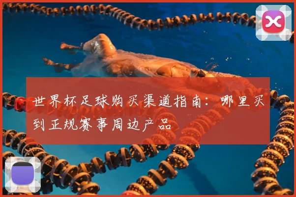 世界杯足球购买渠道指南：哪里买到正规赛事周边产品